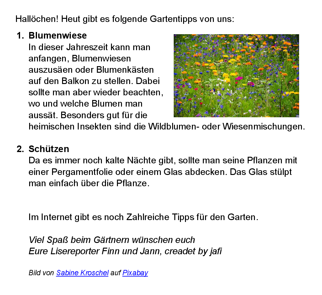 Schulgarten_Digital_Gartentipps_im_Mai.png