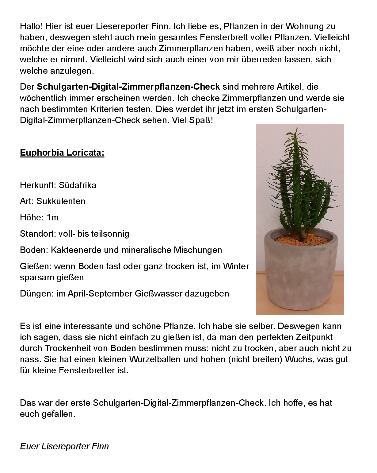 Schulgarten_Digital_Zimmerpflanzen_Check_Folge_1.png
