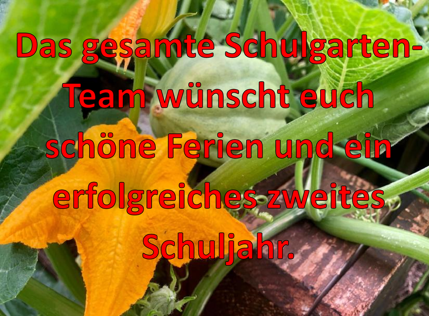 Schulgarten_wuenscht.png